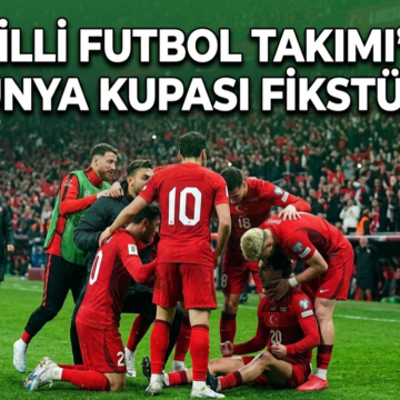 milli takım dünya kupası