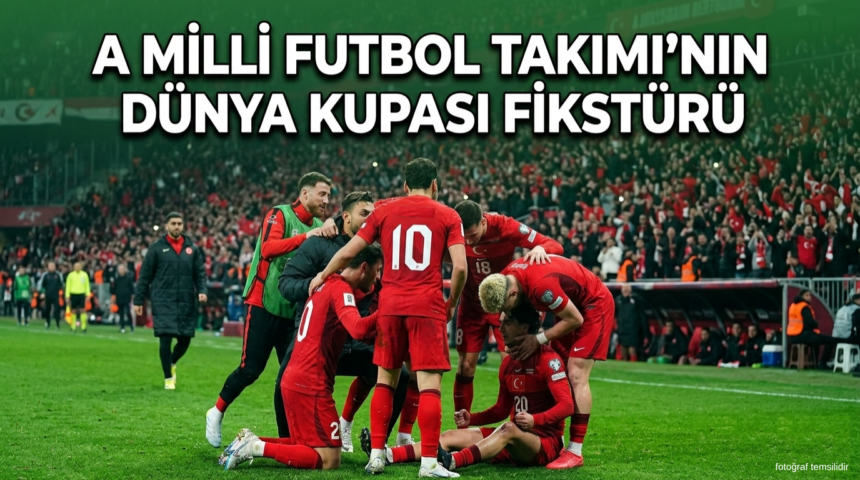 milli takım dünya kupası