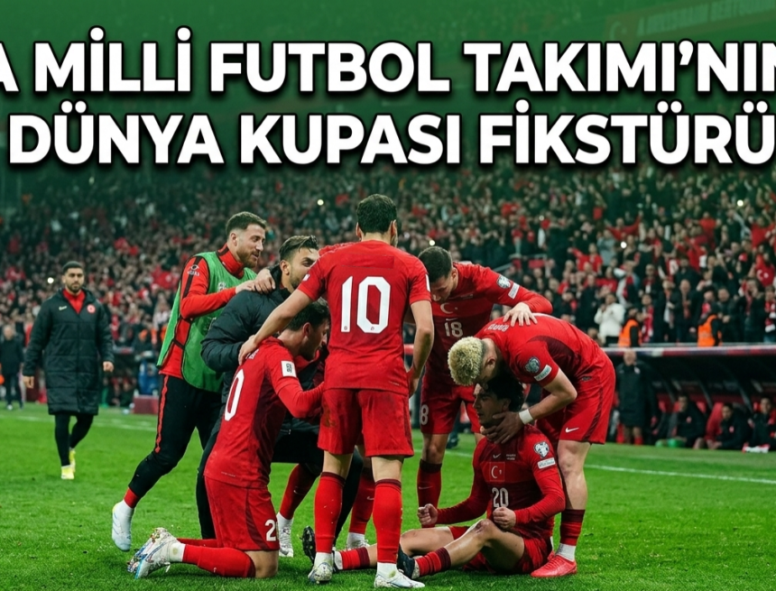 milli takım dünya kupası