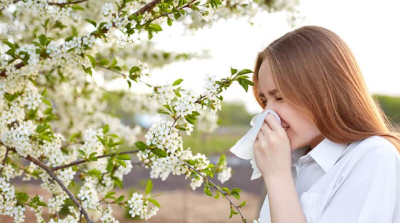 İklim Değişikliği Alerji Sezonunu Öne Çekti: Polen Miktarı %70 Arttı