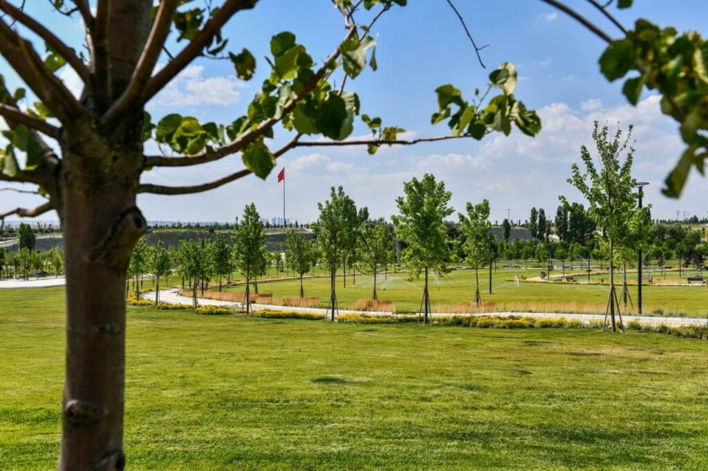 vdyr2heexxsgjqsqunnbaadv-1024x682 Bozkırın Kalbinde Yeşeren Üretim ve Yaşam Kampüsü BAKAP