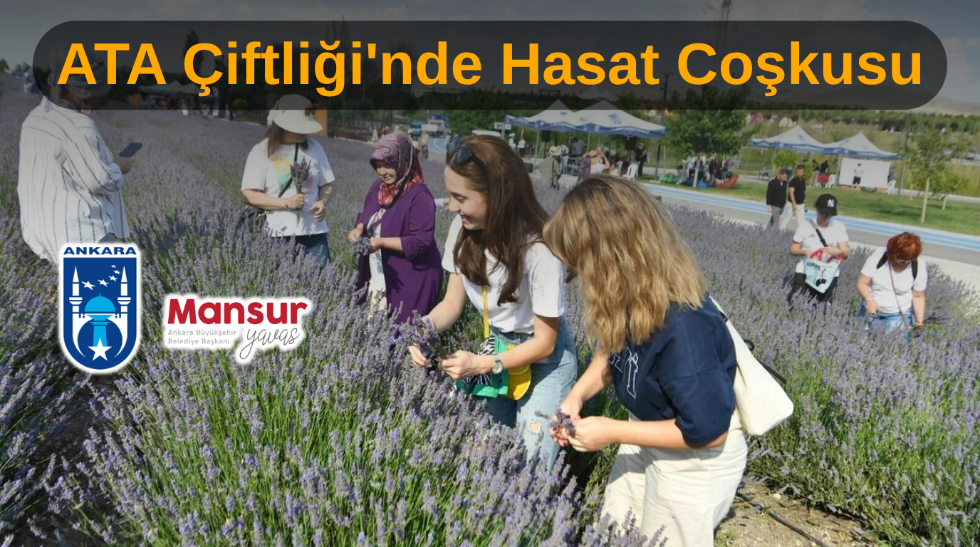 ATA Çiftliği’nde Hasat Coşkusu: Başkentliler Doğayla Buluştu